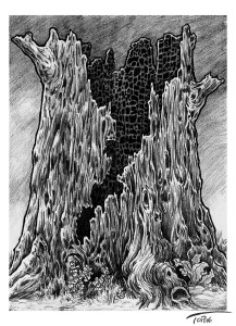 Faeries-burned-out-tree