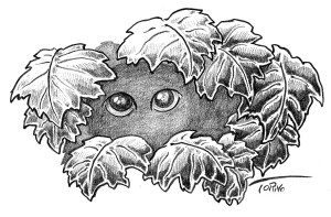 faeries-Grip-peaking